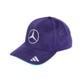 Mercedes- AMG Petronas F1 Singapore GP Vanda Bloom